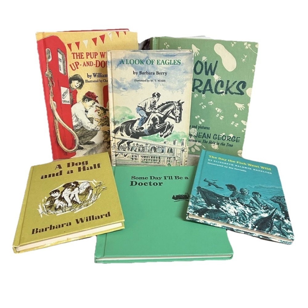 Lot of 6 Vintage Children’s Books Hardcover A Look Of Eagles